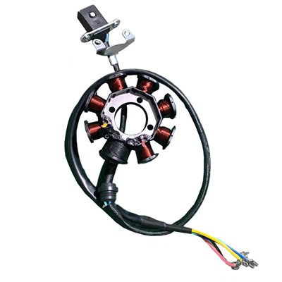 CG125D 8 ritės magnetinis statorius